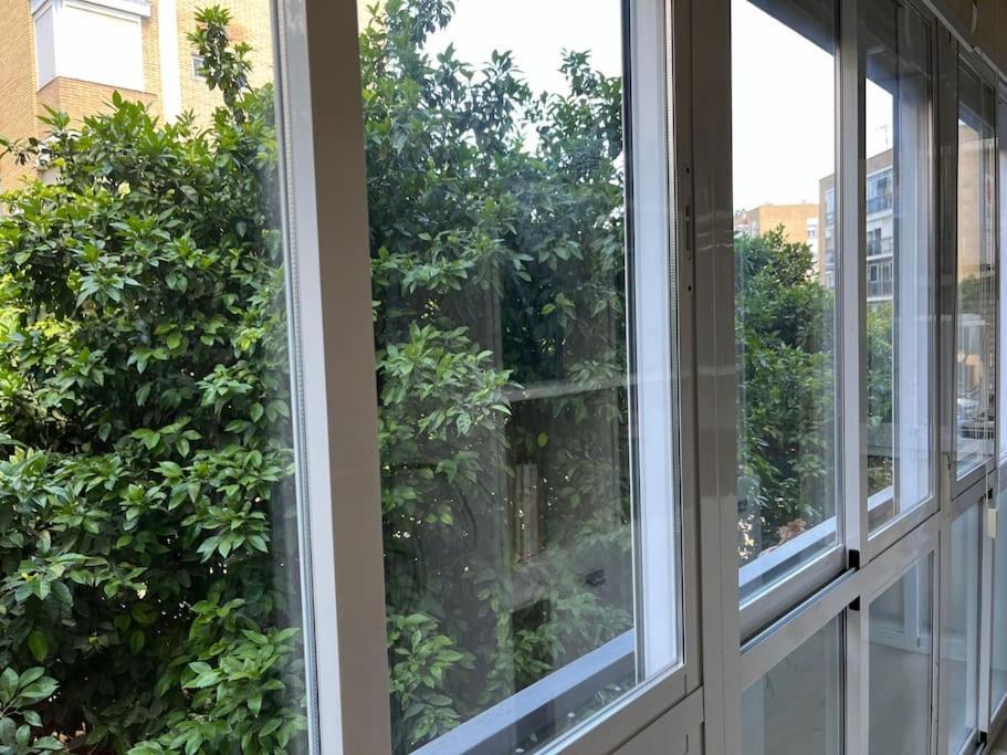 Triana Family Suites Séville Extérieur photo